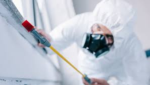 Best Commercial Pest Control  in Haubstadt, IN